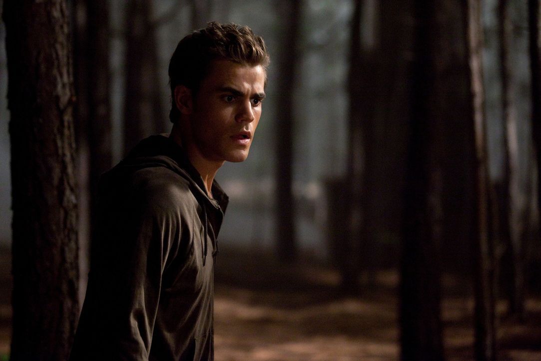 Findet sich einer furchteinflößenden neuen Gefahr in den Wäldern gegenüber: Stafan Salvatore (Paul Wesley)... - Bildquelle: Warner Brothers
