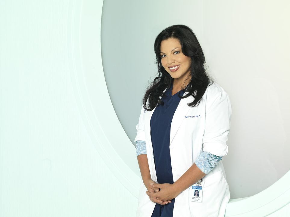 (8. Staffel) - Als Ärztin muss Dr. Callie Torres (Sara Ramirez) täglich mit neuen Überraschungen rechnen ... - Bildquelle: ABC Studios