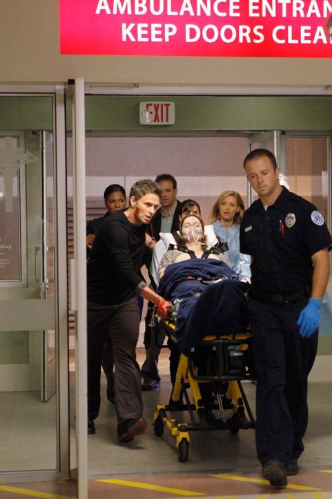 Nachdem Violet (Amy Brenneman, liegend) von Katie angegriffen wurde, bringt sie Pete (Tim Daly, vorne r.) ins Krankenhaus. Naomi (Audra McDonald, hi... - Bildquelle: ABC Studios