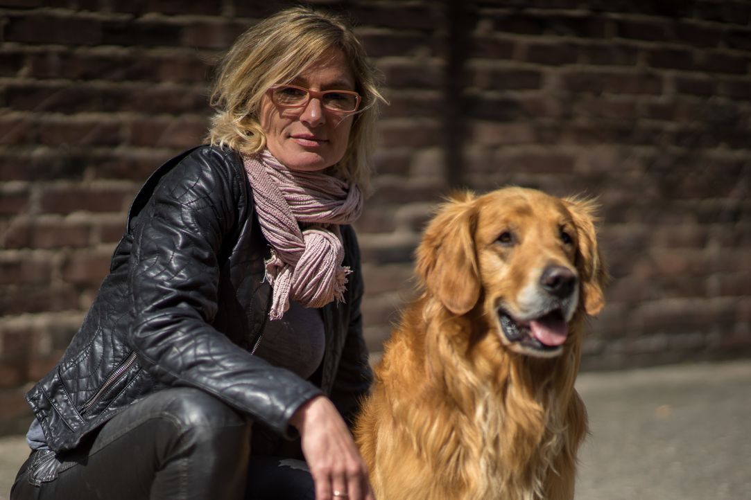 Die Herausforderung für Hundetrainerin Sabine Hulsebosch (Foto): Hunde zu finden, die nicht nur das Können, sondern auch Spaß an ihren neuen speziel... - Bildquelle: SAT.1