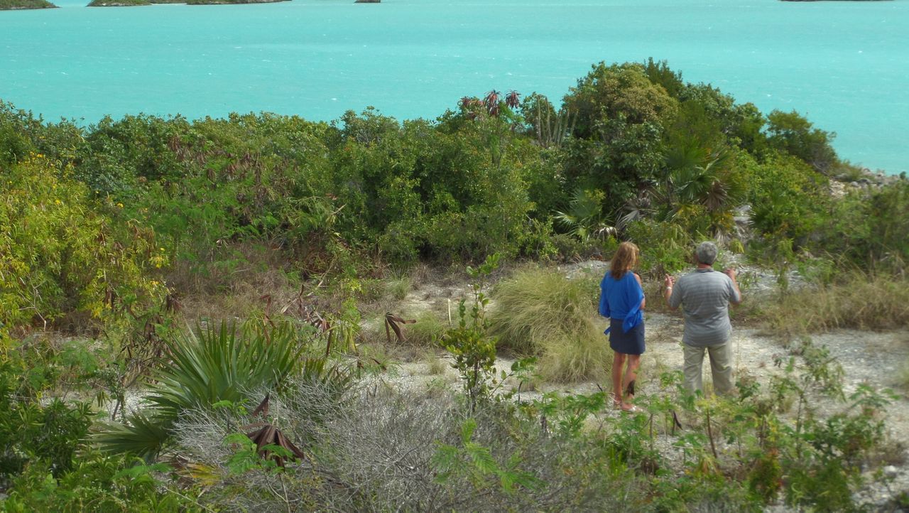 beliebtesten dating-apps in kanada