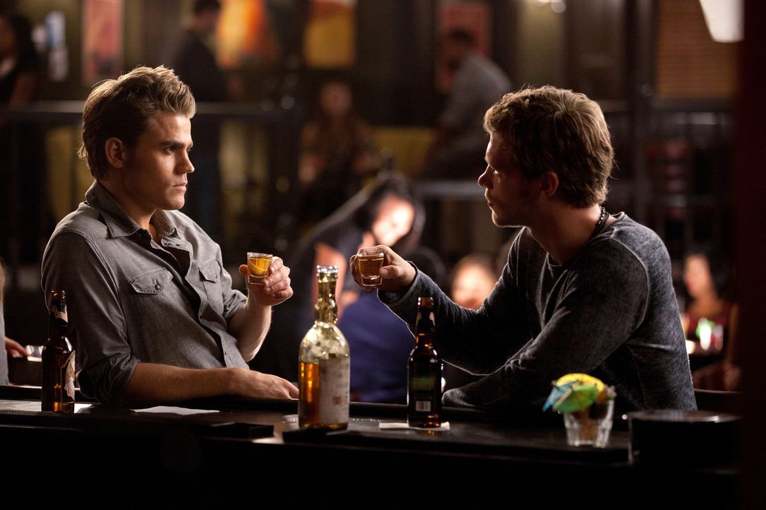 Werden Stefan Salvatore (Paul Wesley, l.) und Klaus (Joseph Morgan, r.) ihren Streit begraben? - Bildquelle: © Warner Bros. Entertainment Inc.