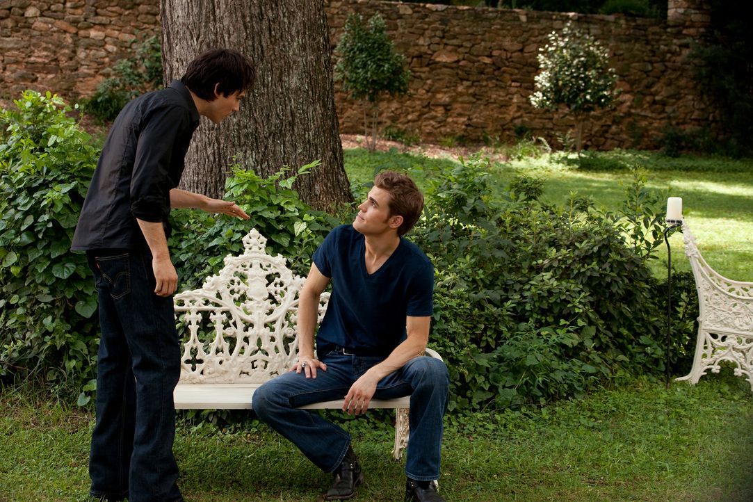 Wie soll es nun weitergehen? Stefan (Paul Wesley, r.) und sein Bruder Damon (Ian Somerhalder, l.) sind sich der Gefahr, die von ihrer wieder aufgeta... - Bildquelle: Warner Brothers