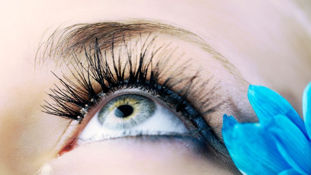 Falsche Wimpern Richtig Anbringen