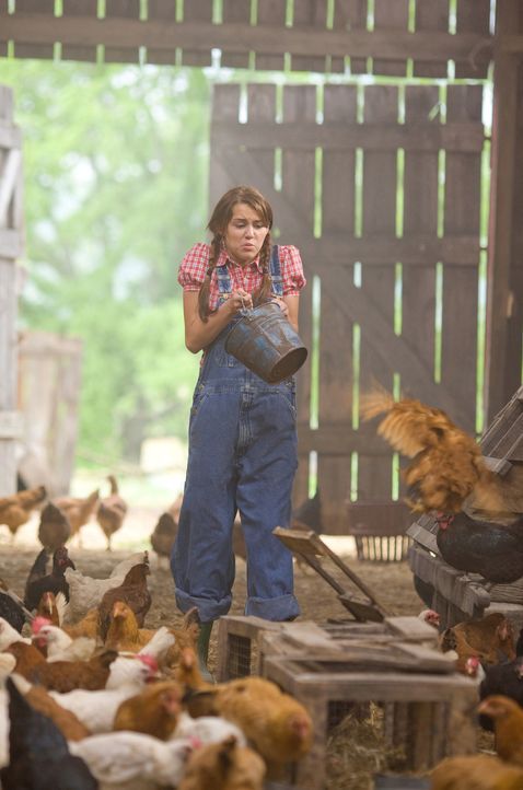 Auch das Füttern der Hühner will gelernt sein: Miley (Miley Cyrus) ... - Bildquelle: Sam Emerson Walt Disney Pictures.  All Rights Reserved