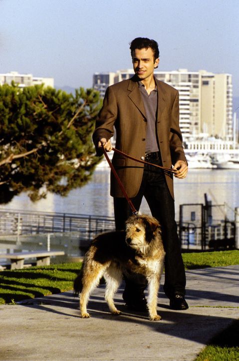 Im Gegensatz zu Clay und Jeremiah hat Royce (Mike Damus) mit dem dreibeinigen Hund Lucky viel Erfolg bei den Frauen ... - Bildquelle: Paramount Television
