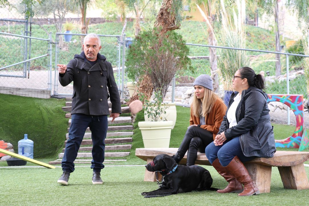(v.l.n.r.) Cesar Millan; Danielle; Blanca - Bildquelle: © National Geographic