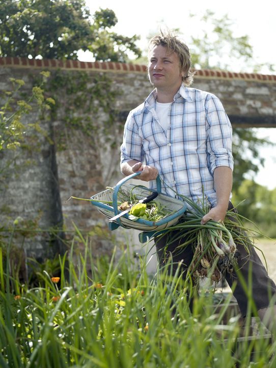 (1. Staffel) - Jamie Oliver hat in den letzten Jahren jungen Arbeitslosen eine solide Ausbildung in "Jamie's Kitchen" verschafft und mit großem Enga... - Bildquelle: David Loftus Fremantle