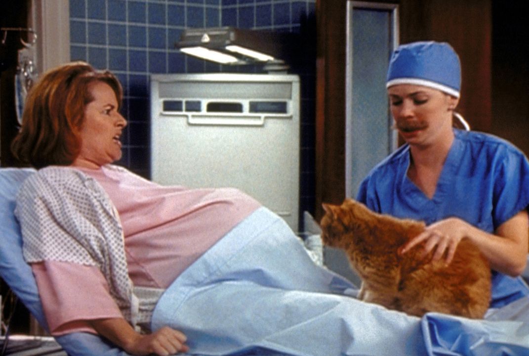 Sabrina (Melissa Joan Hart, r.) hat mit einem Zauberspruch die Schwangerschaft von Mrs. Kinkle und Salems Katzenfreundin Lola durcheinander gebracht... - Bildquelle: Paramount Pictures