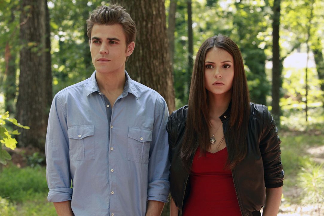 Elena (Nina Dobrev, r.) trägt die schockierende Nachricht, dass Stefan (Paul Wesley, l.) ein Vampir ist mit Fassung ... - Bildquelle: Warner Brothers