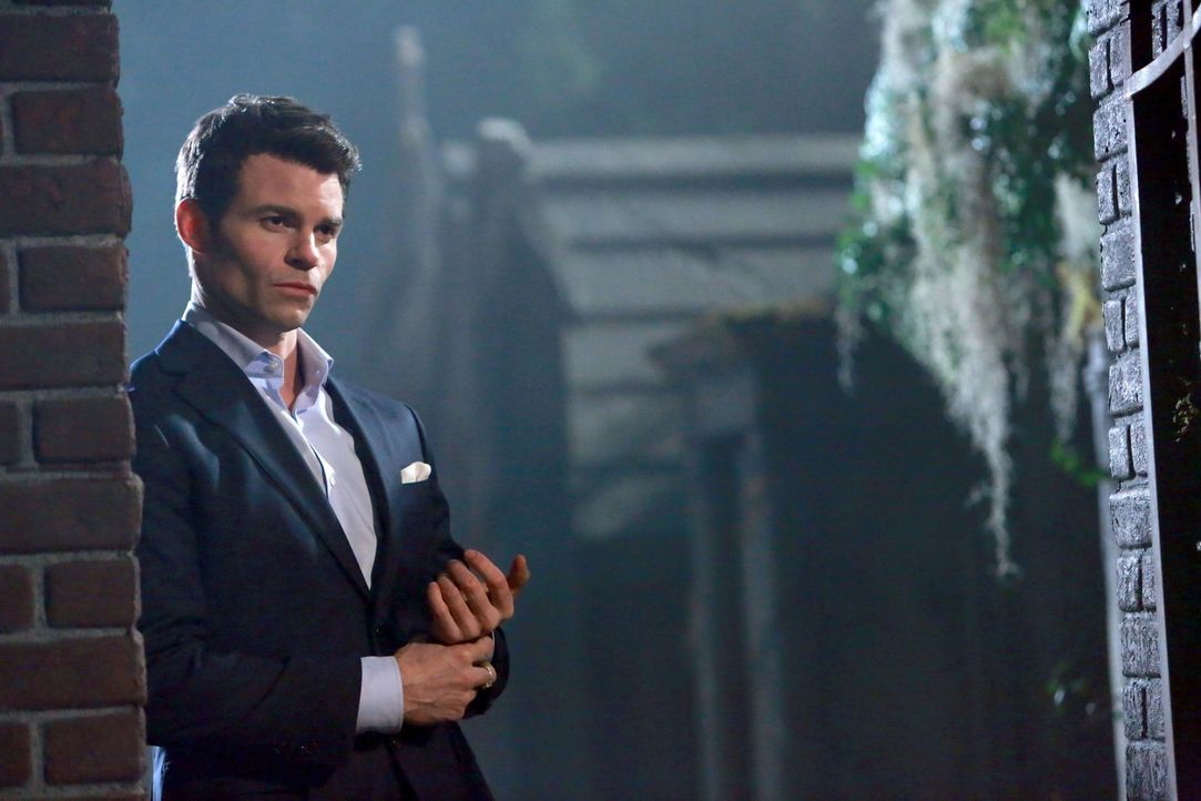 Elijah (Daniel Gillies) geht eine fragwürdige Allianz ein ... - Bildquelle: Warner Bros. Television