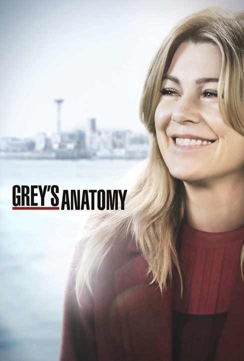 (15. Staffel) - Grey's Anatomy - Artwork - Bildquelle: ABC Studios
