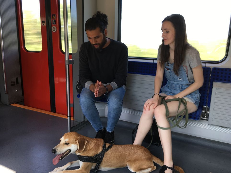 Für die 17-jährige Narkoleptikerin Paulina (r.) wird Masih Samin (l.) in der Türkei fündig. Er möchte den ehemaligen Straßenhund Nikko so trainieren... - Bildquelle: SAT.1