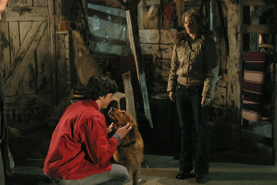 Smallville Krypto sixx