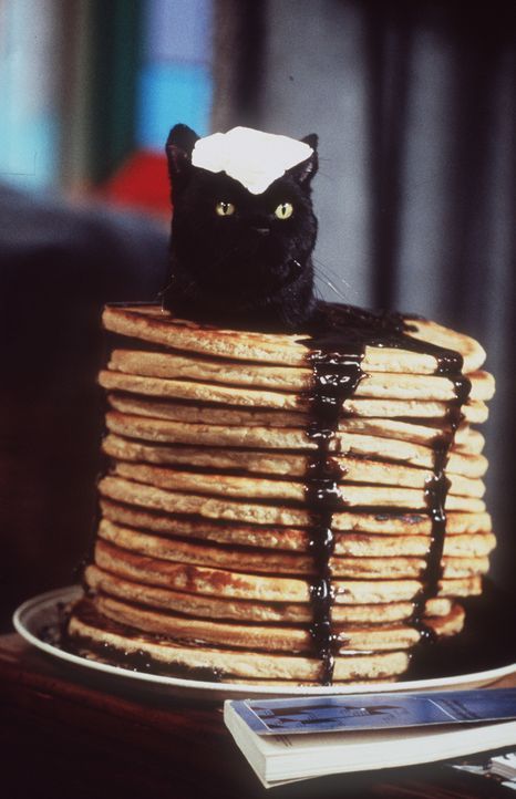 Sabrina denkt nur noch an Pfannkuchen, und das tellerweise. Salem hat darunter sehr zu leiden. - Bildquelle: Paramount Pictures