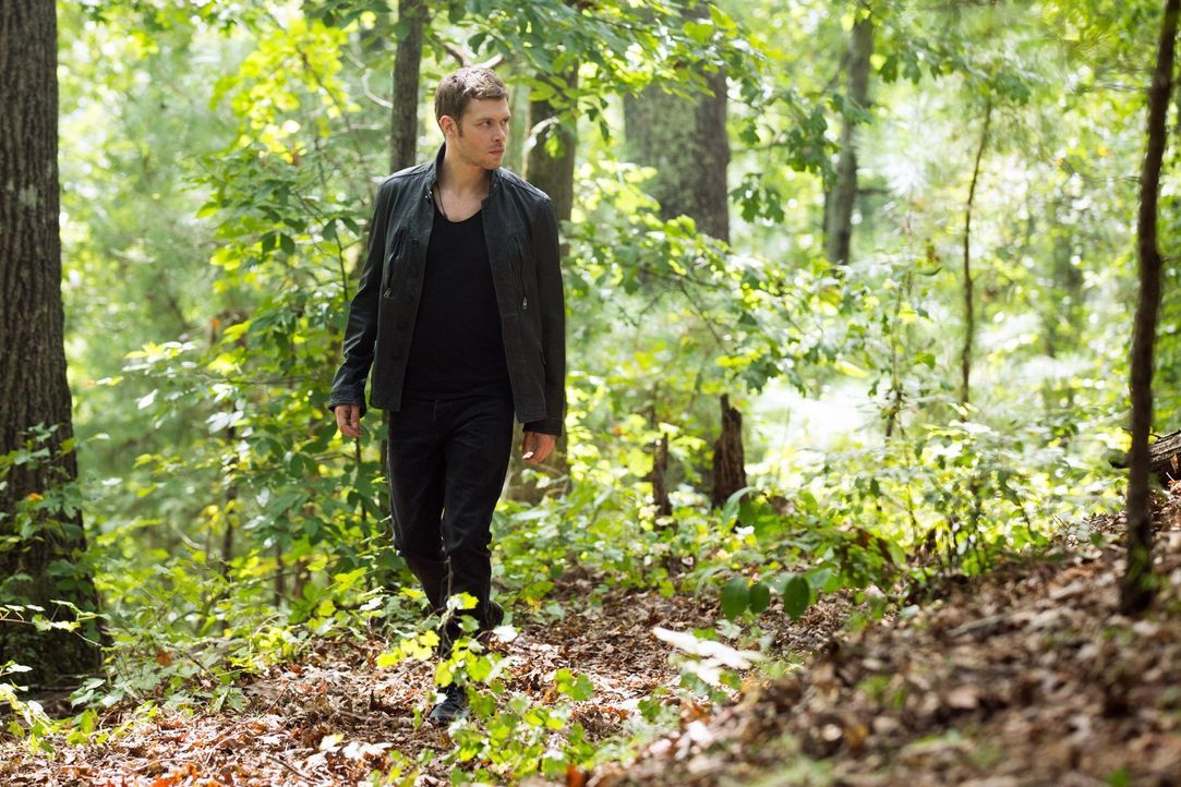 Auf der Suche nach einem Heilmittel für Elijah, muss Klaus (Joseph Morgan) mit einem unerwarteten Partner zusammenarbeiten ... - Bildquelle: Warner Bros. Television
