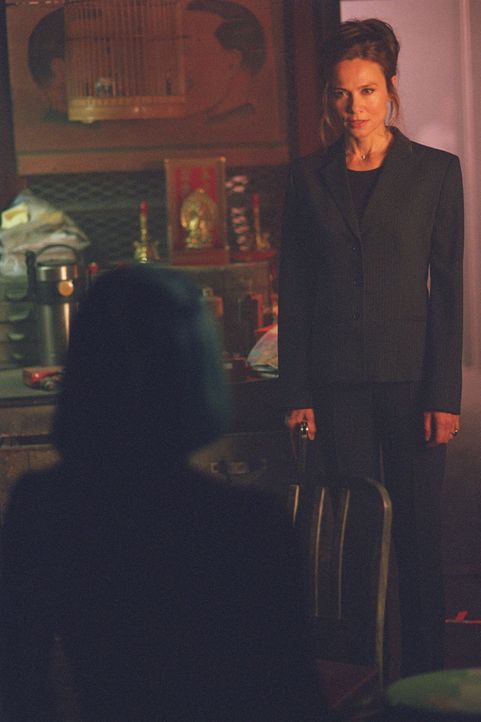 Als Sydney (Jennifer Garner, vorne) ihre Mutter (Lena Olin, hinten) wiederfindet, ist diese total verwandelt ... - Bildquelle: Touchstone Television