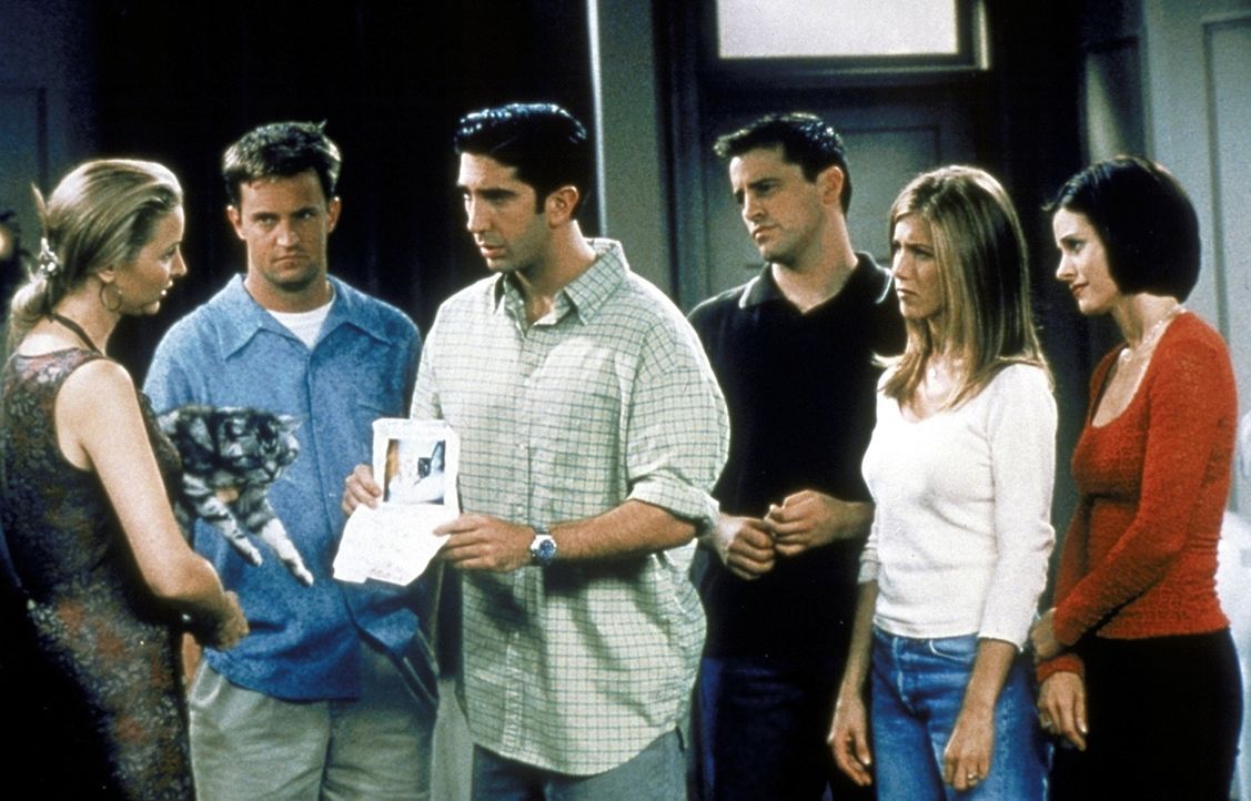 Nur zusammen finden Chandler (Matthew Perry, 2.v.l.), Ross (David Schwimmer, 3.v.l.), Joey (Matt LeBlanc, 3.v.r.), Rachel (Jennifer Aniston, 2.v.r.)... - Bildquelle: TM+  2000 WARNER BROS.