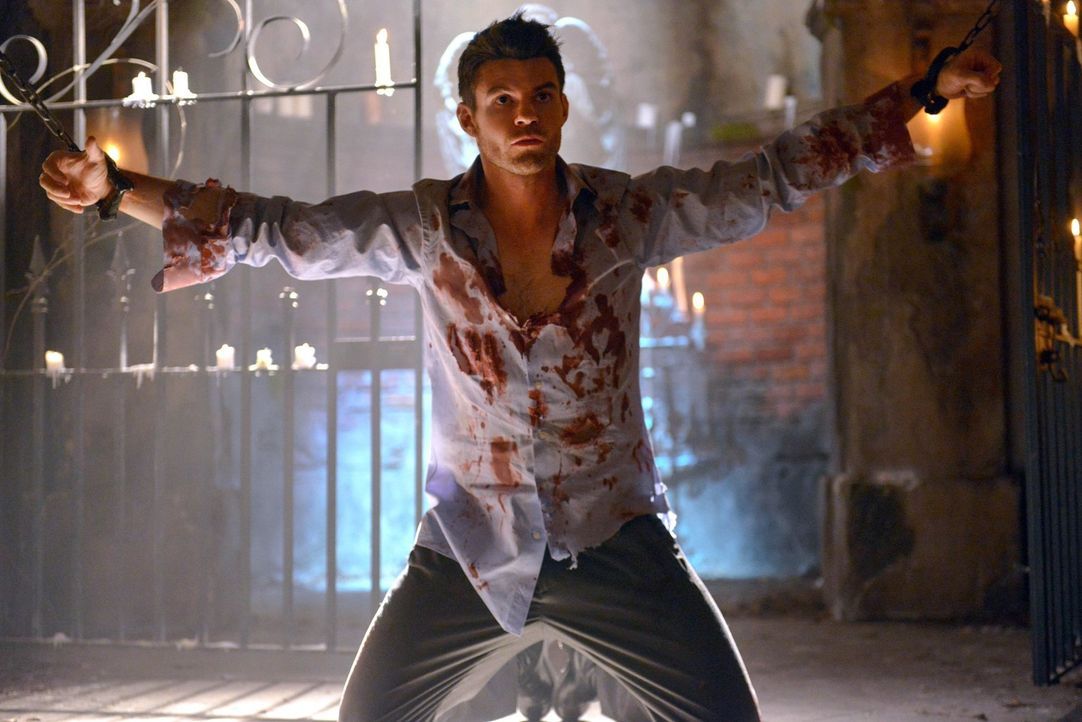 Nachdem seine Mutter dafür gesorgt hat, dass er sich an die Wahrheit erinnert, muss Elijah (Daniel Gillies) jetzt eine Entscheidung treffen ... - Bildquelle: Warner Bros. Television