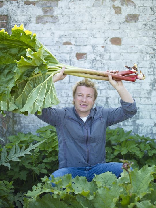 (2. Staffel) - Ohne Chemikalien züchtet Jamie Oliver Gemüse in seinem eigenen Garten ... - Bildquelle: Fremantle