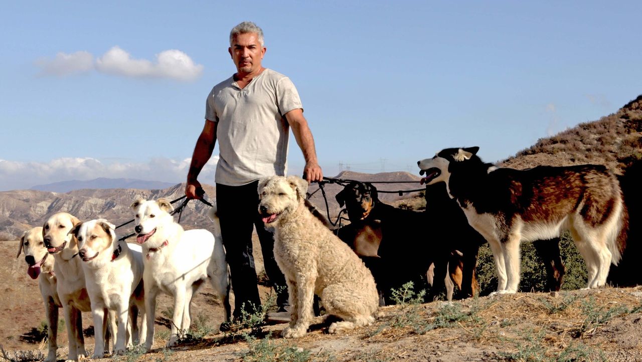 Cesar Millan Der Hundeflusterer Cesar Millan Auf Den Hund Gekommen Sixx