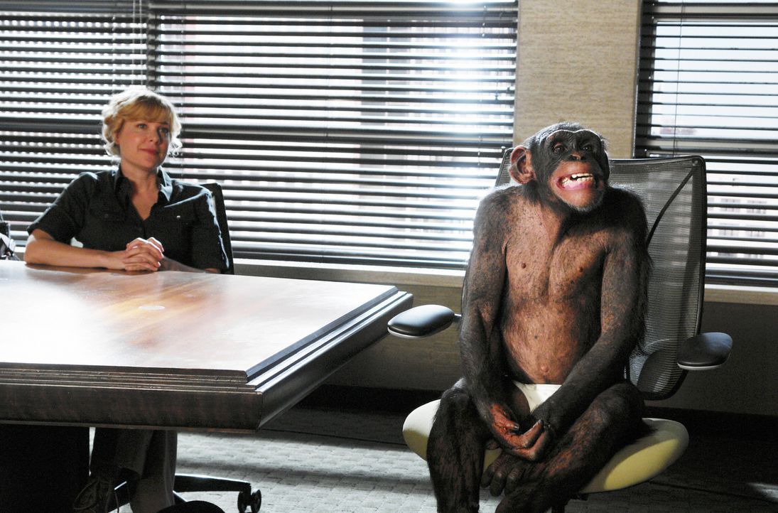 Dr. Leila Maxford (Jennifer Aspen) und ihr Schimpanse: Sie bittet die Anwälte in der Kanzlei, ihr bei einem ungewöhnlichen Fall beizustehen ... - Bildquelle: Disney - ABC International Television