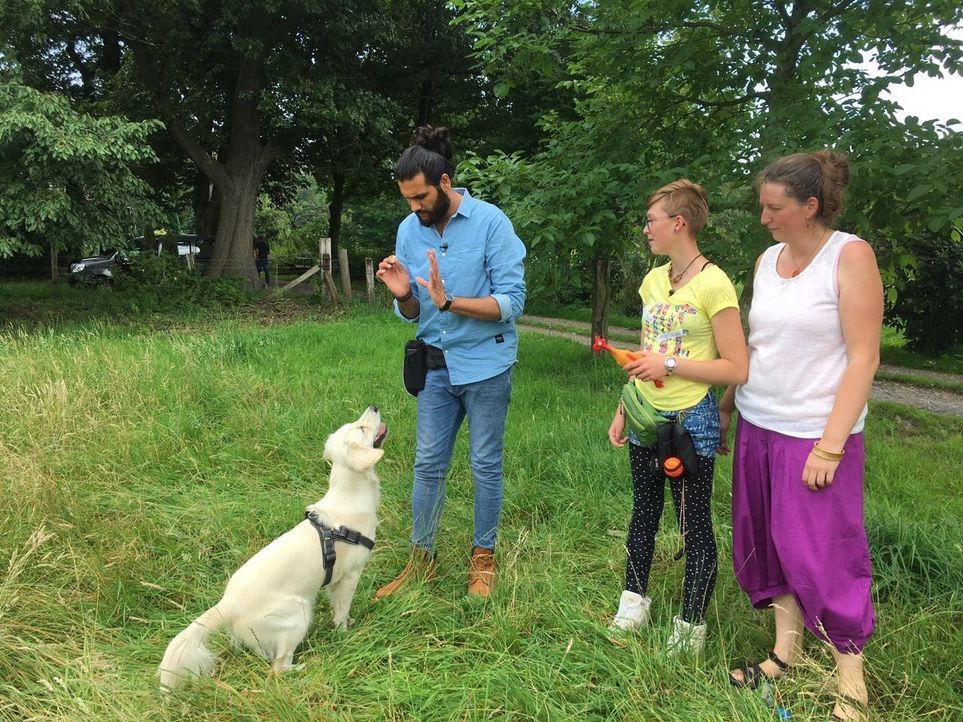 Für die 14-jährige Maja (M.) hat Hundertrainer Masih Samin (l.) die neugierige Golden Retriever Hündin Emma ins Auge gefasst. Kann er sie so trainie... - Bildquelle: SAT.1