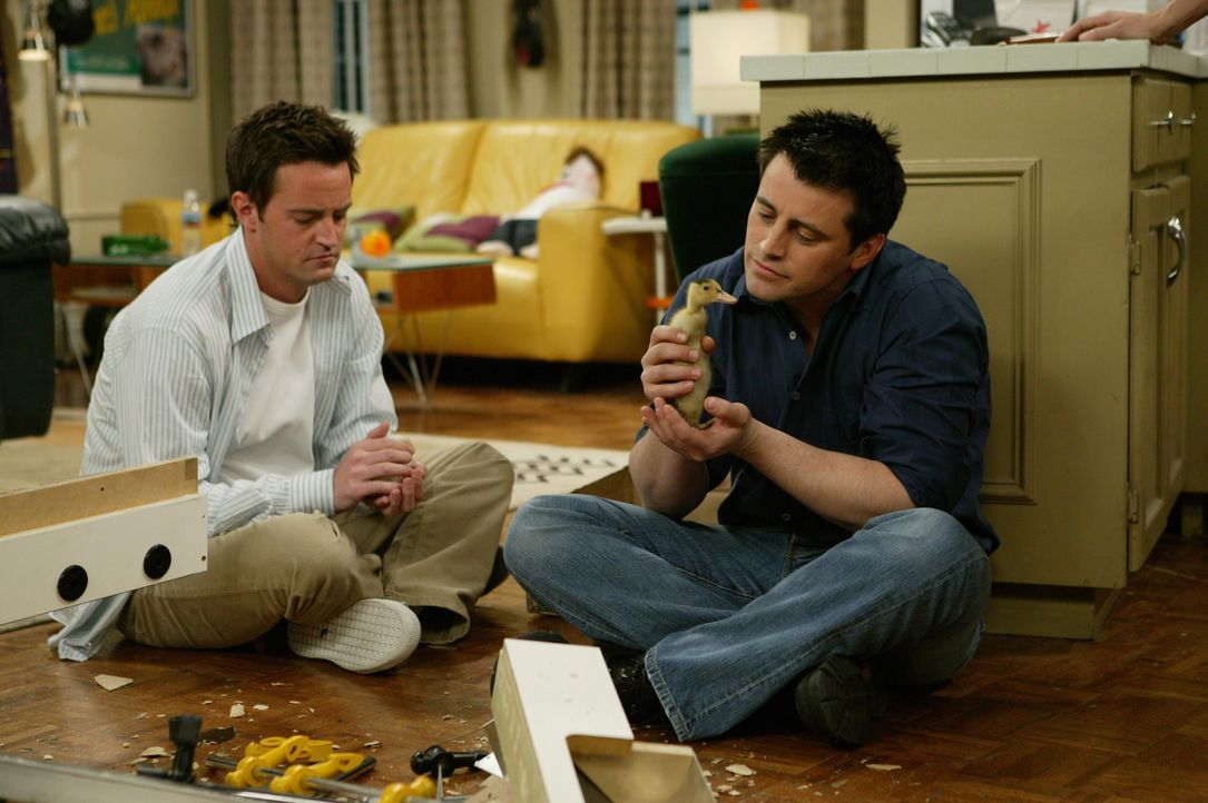 Finden immer eine Gelegenheit für eine Pause: Joey (Matt LeBlanc, r.) und Chandler (Matthew Perry, l.) ... - Bildquelle: © 2003 Warner Brothers International Television