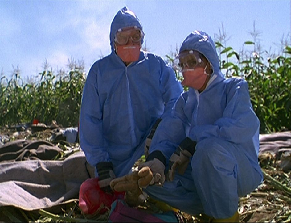 Amanda (Victoria Rowell, r.) und Mark (Dick Van Dyke, l.) knien entsetzt inmitten der Trümmer, die von dem abgestürzten Jumbo noch übrig sind. - Bildquelle: Viacom