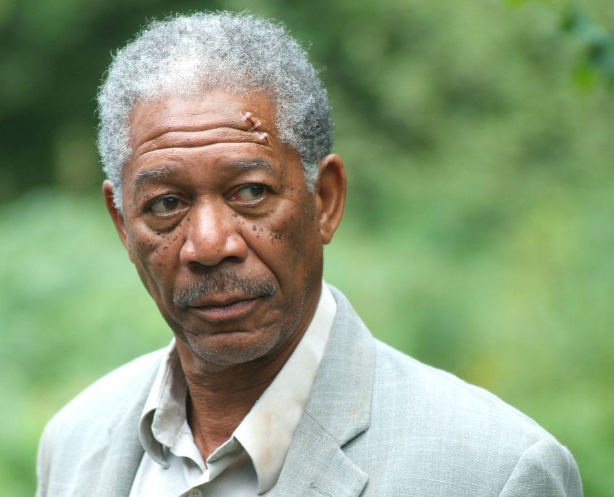 Profikiller Carden (Morgan Freeman) wird ganz schnell vom Jäger zum Gejagten ... - Bildquelle: Millennium Films