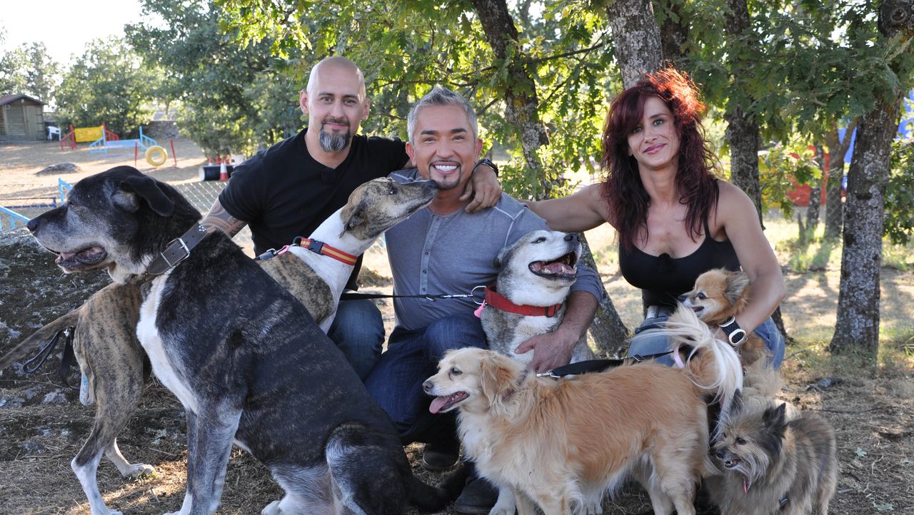 Cesar Millan Auf den Hund gekommen Die ersten Bilder