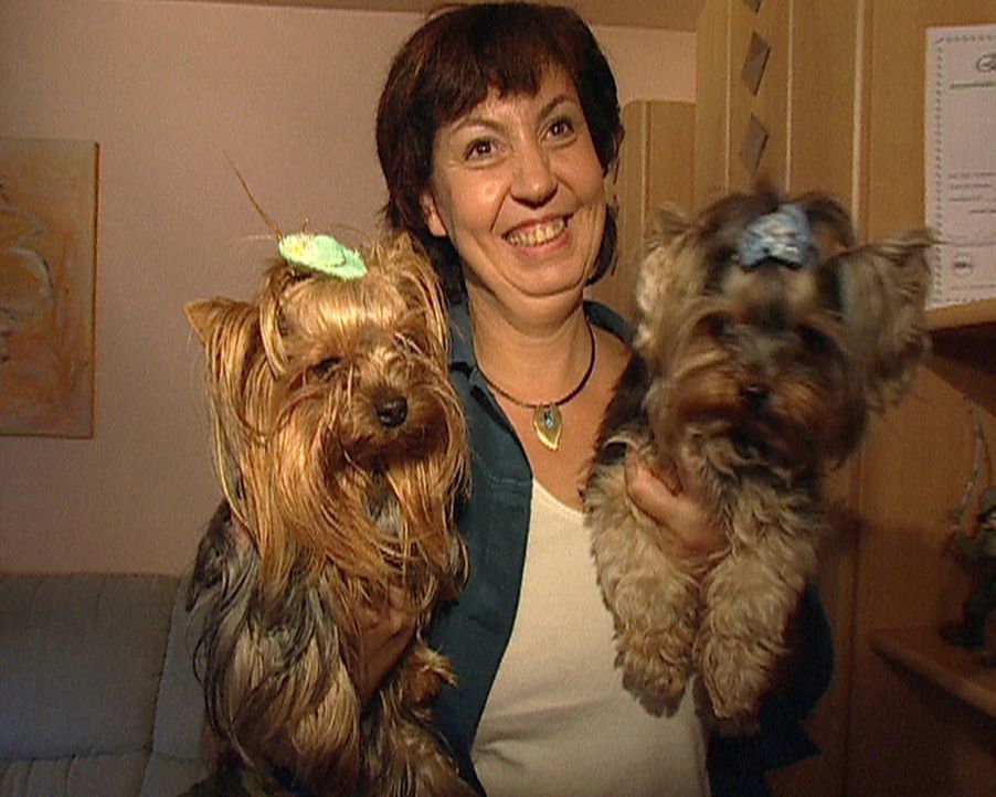 Wenn Michaela Sroka (44) von "Conditioner" und "Shampoo" spricht, denkt sie dabei an ihre drei Yorkshire Terrier Pepsy, Lavinja und Atos. Sie möcht... - Bildquelle: ProSieben